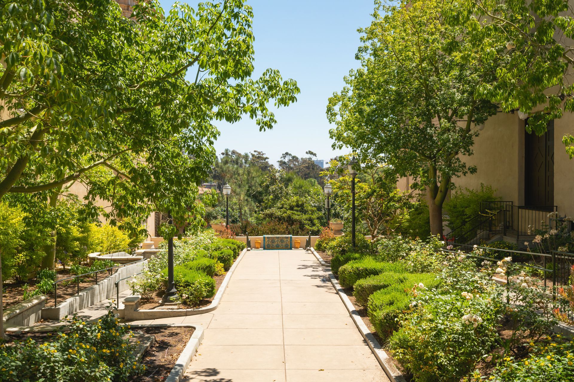 Tree-lined garden walkway with green shrubs and a paved path in bright sunlight