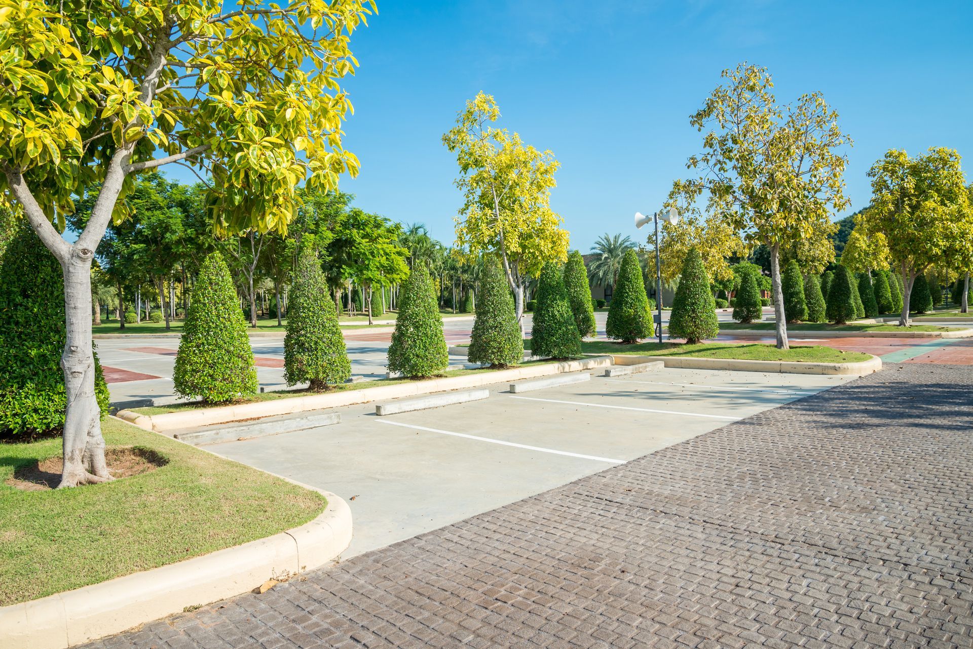Tree-lined parking area with empty spaces and bright green landscaping on a sunny day