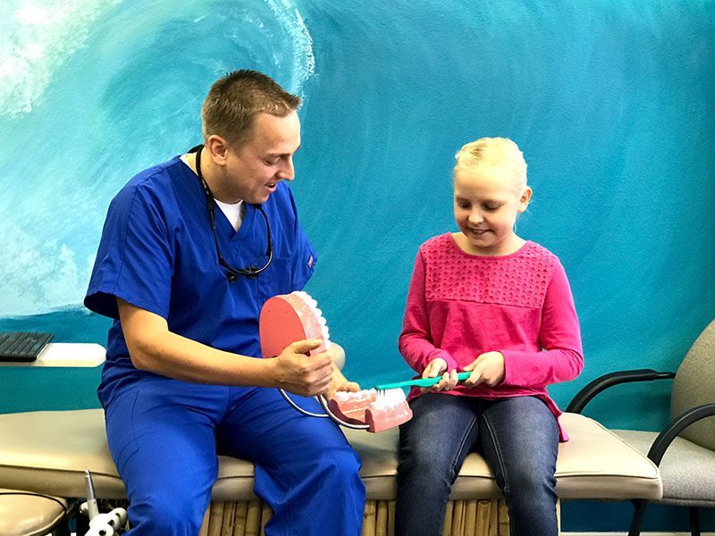 A dental professional demonstrates proper brushing technique on a model set of teeth to a child.