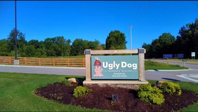 Ugly Dog restaurant sign in a landscaped median under a blue sky