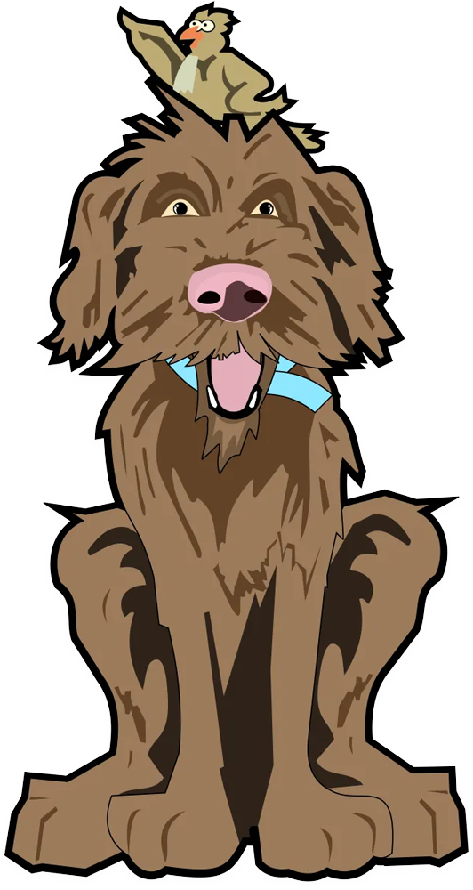 Brown shaggy dog sitting with tongue out and a small bird on its head