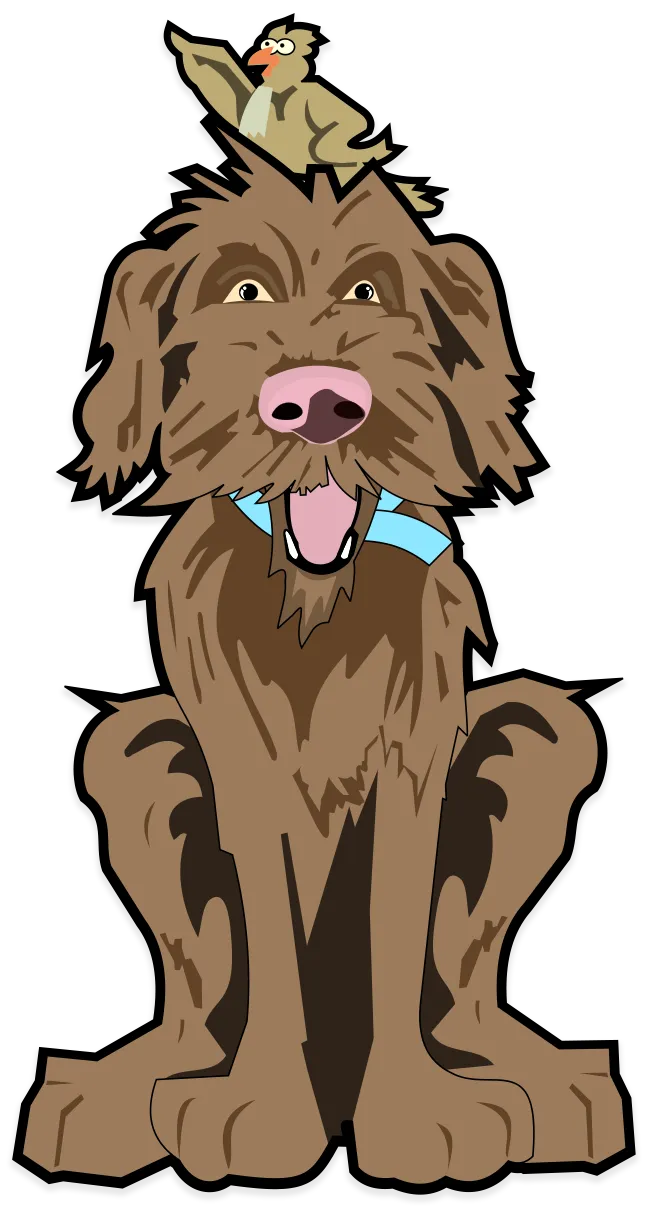 Brown shaggy dog sitting with a small bird perched on its head