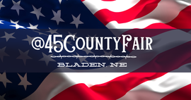 Webster Fair Logo