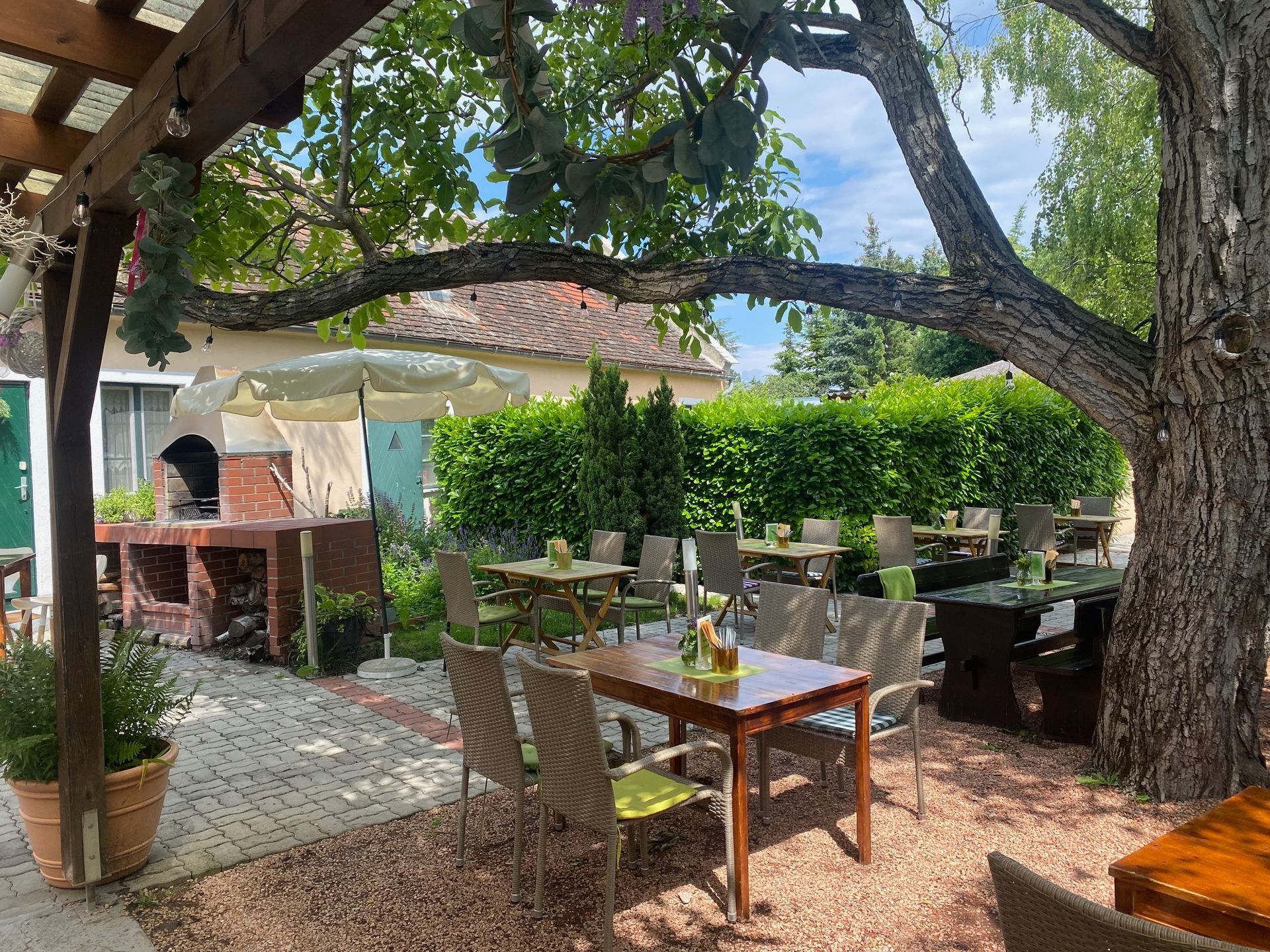 Heuriger Garten