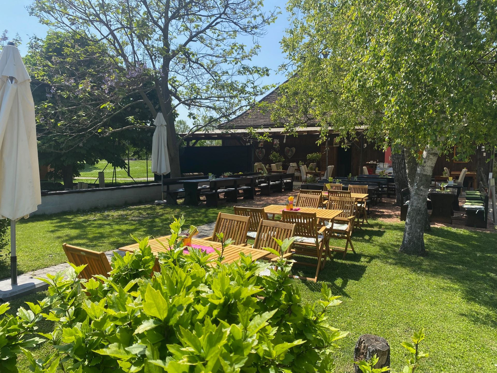 Heuriger Garten