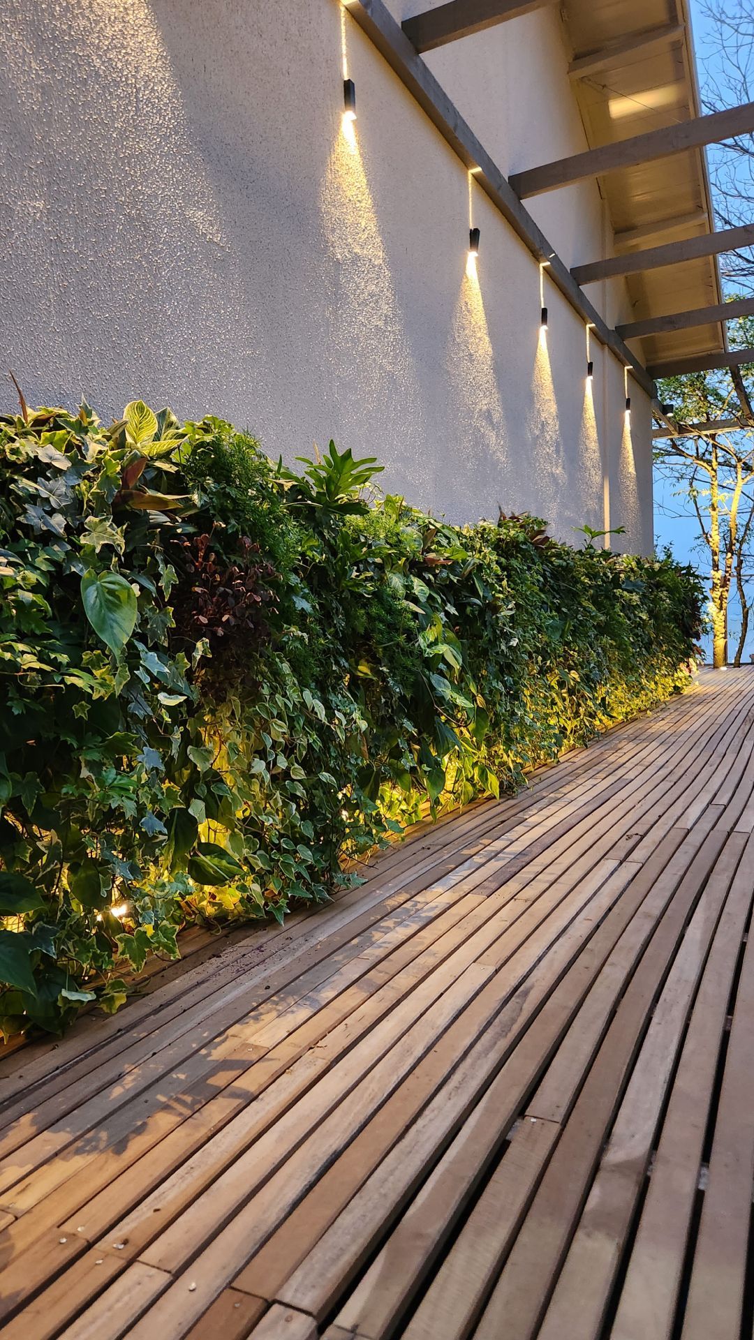 Jardim vertical natural Freedom