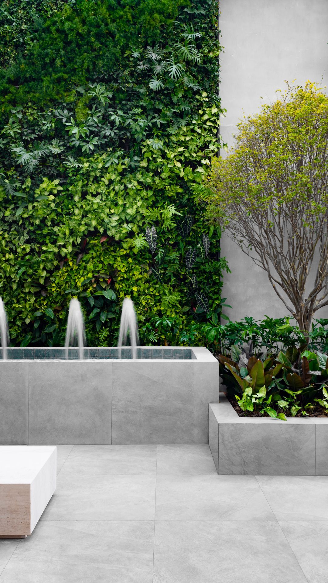 Freedom CASACOR - Harmony Garden