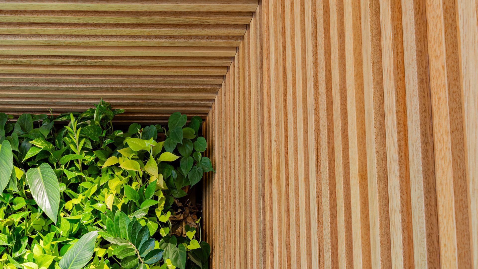 Jardim vertical natural Freedom