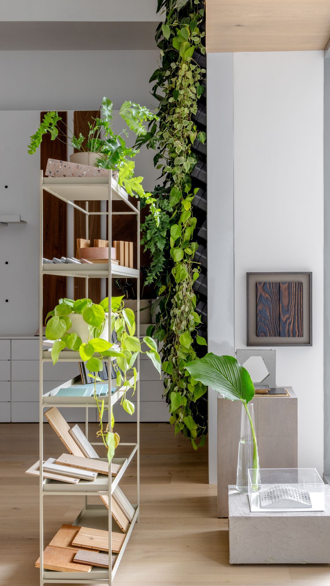 Jardim vertical natural Freedom