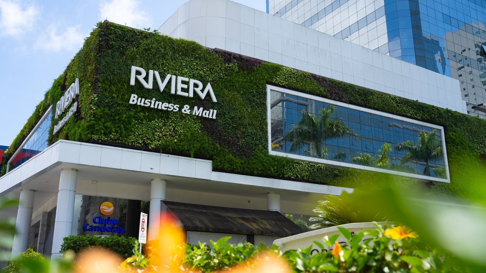 Freedom_Riviera