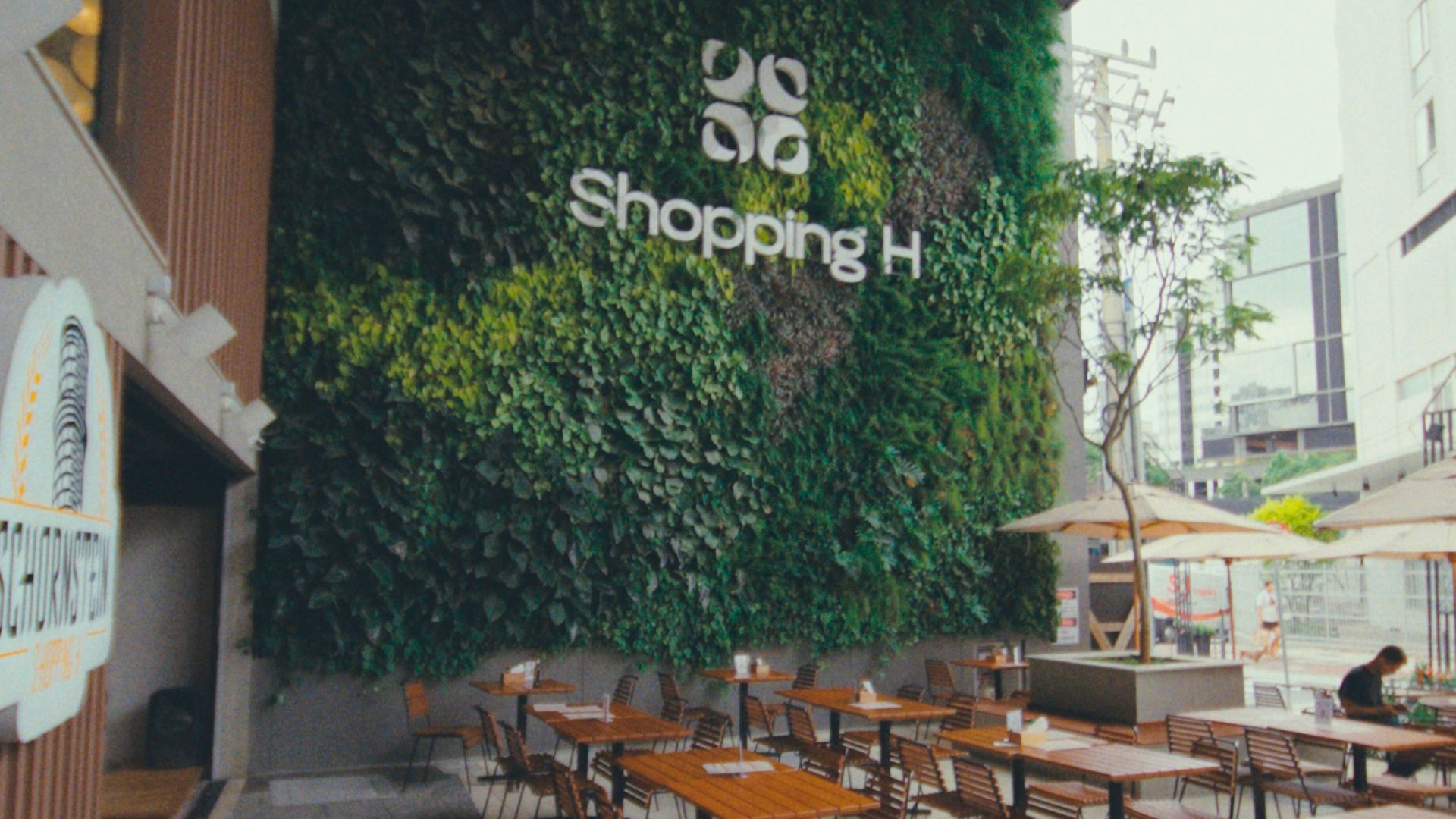Freedom_ShoppingH
