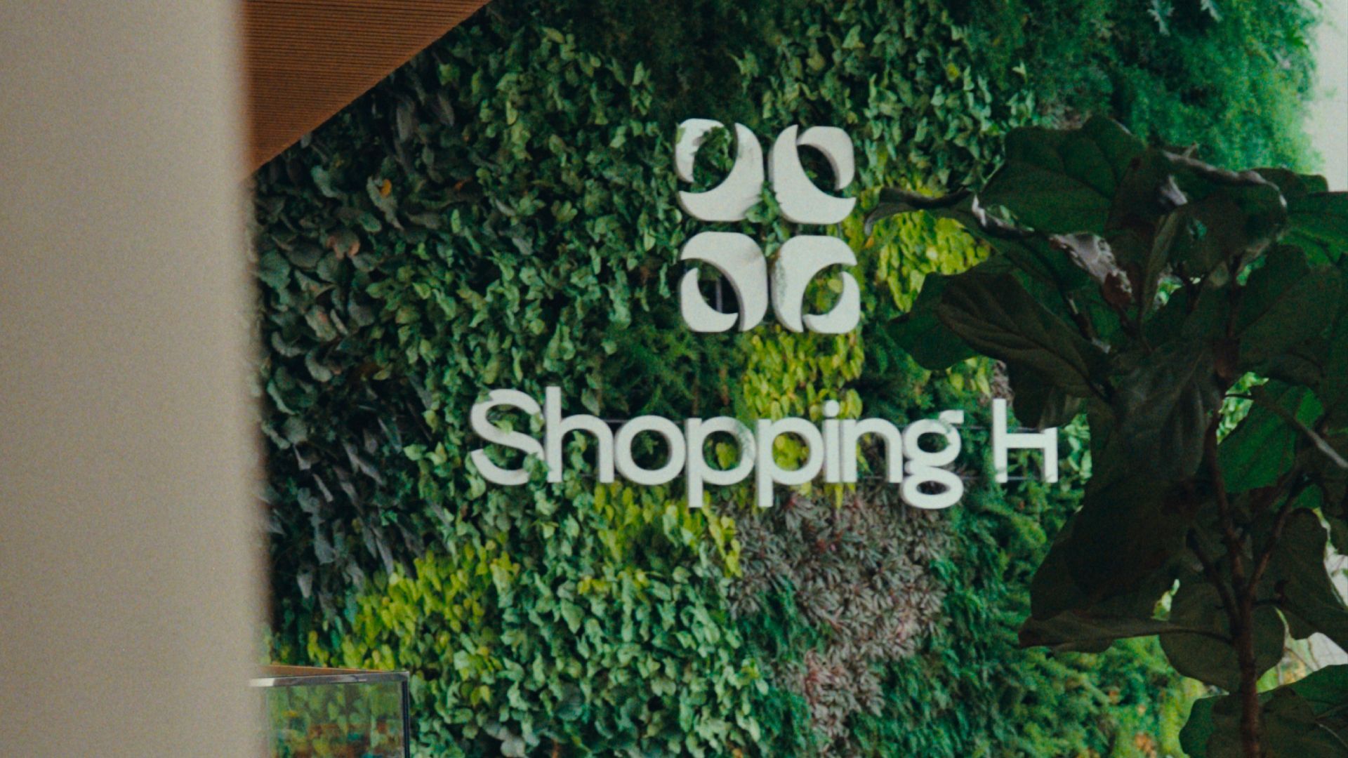 Freedom_ShoppingH