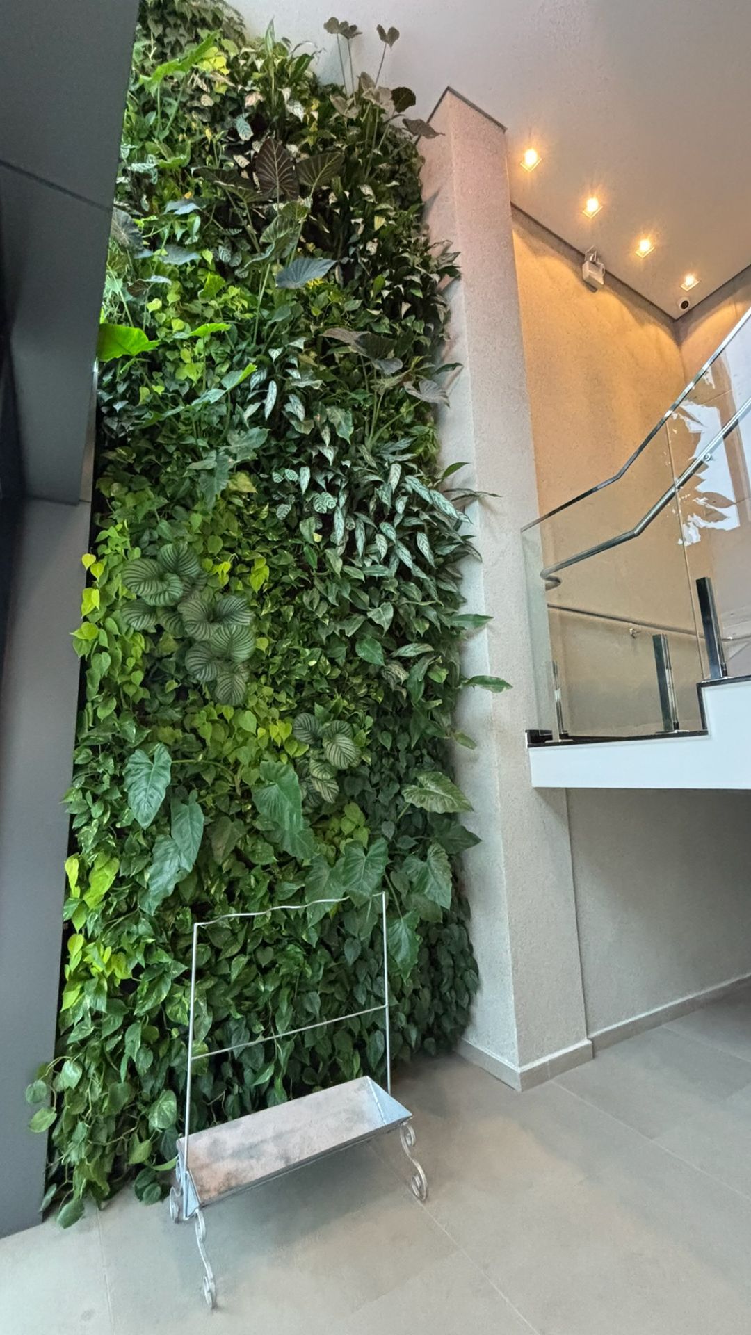 Jardim vertical natural Freedom