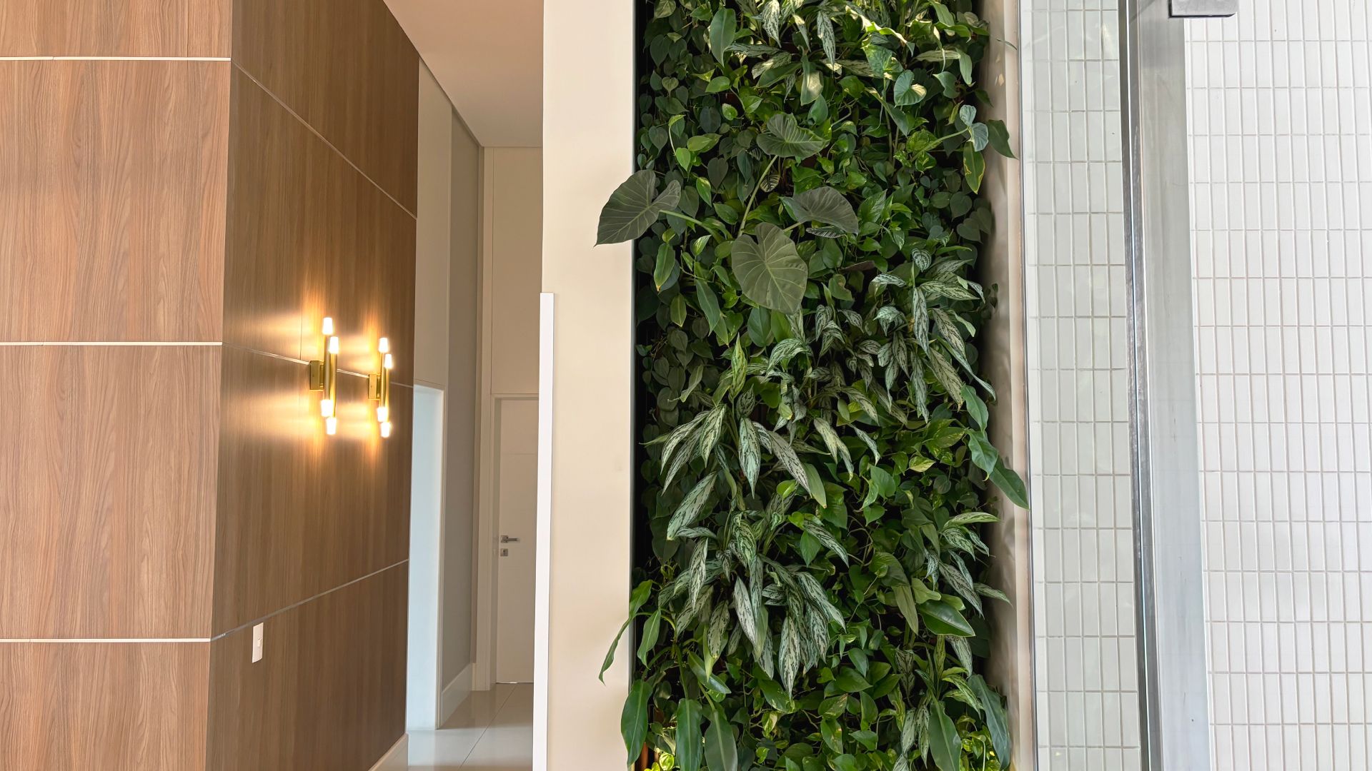 Jardim vertical natural Freedom