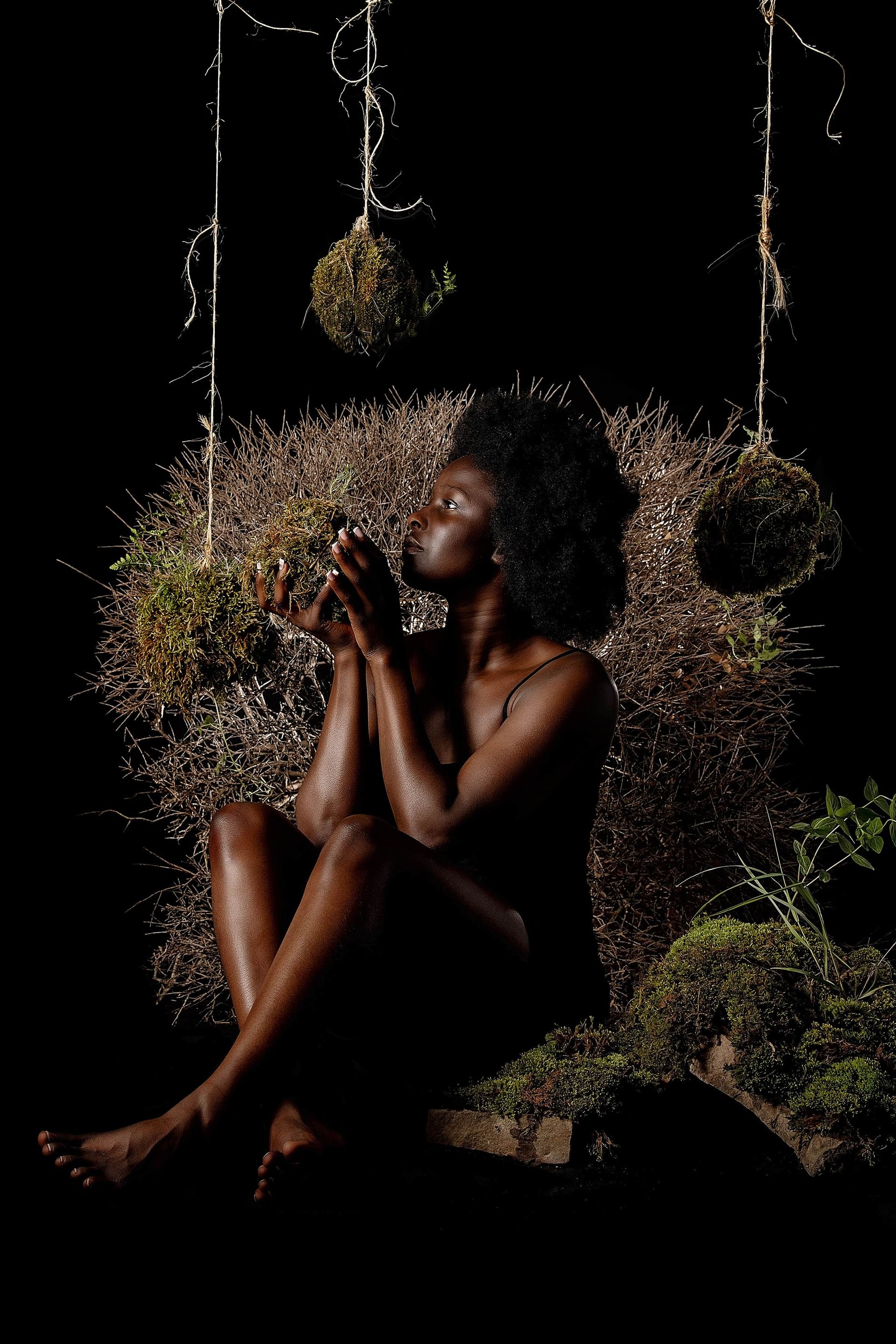 Meredith Mashburn Human Nature Renasance