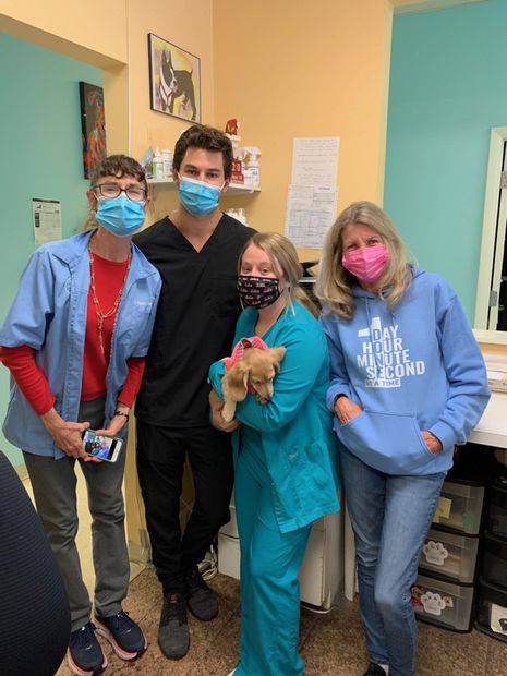 Bring Your Pets Into Our Animal Hospital for Comprehensive Care Bring Your Pets Into Our Animal Hospital for Comprehensive Care