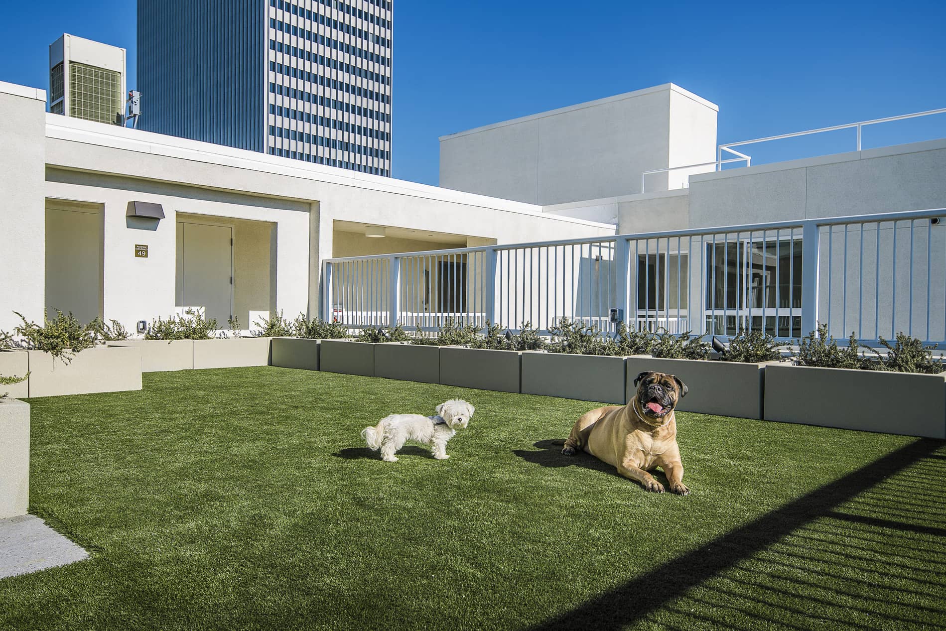 Downtown Los Angeles Apartments OLiVE DTLA