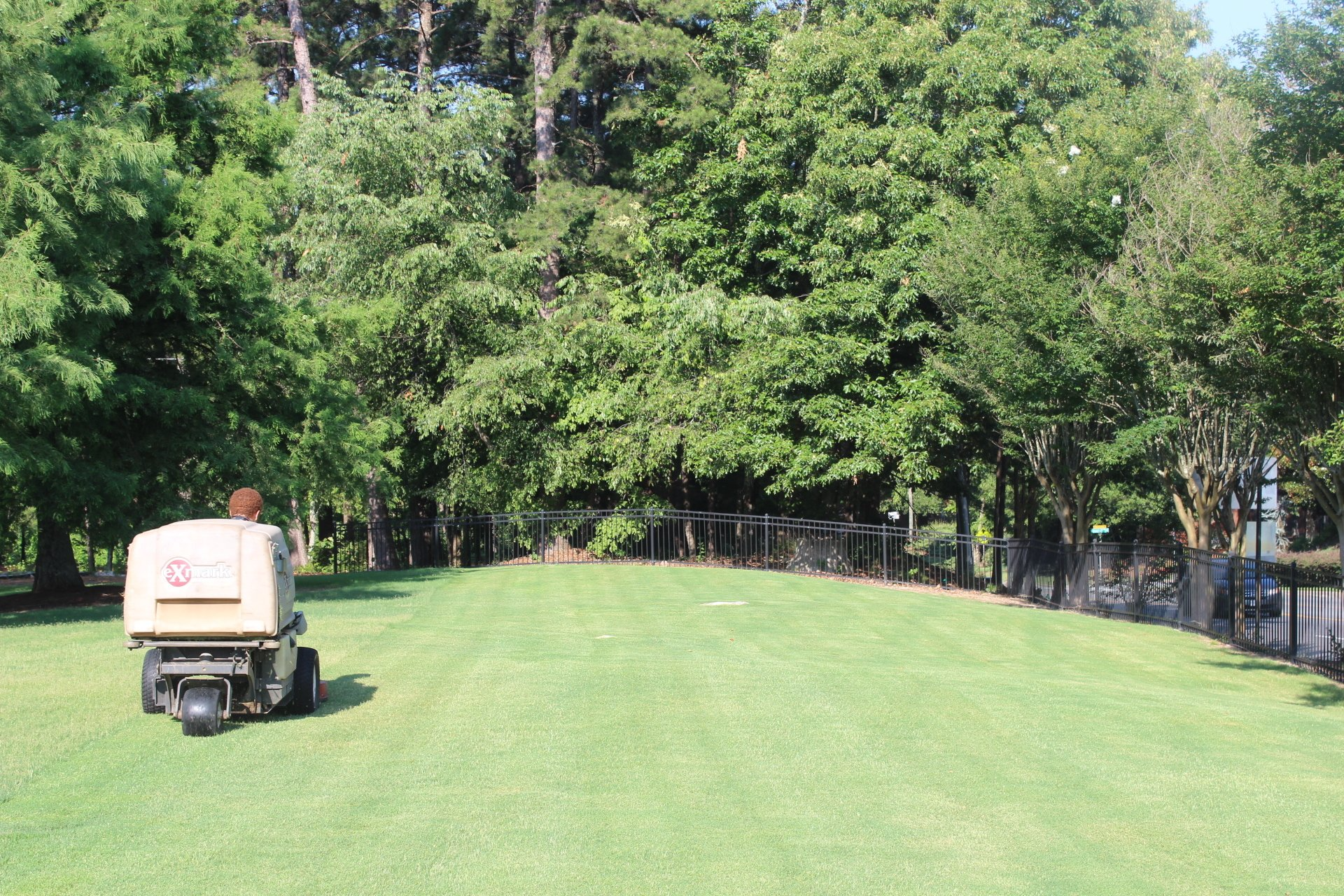 Lawn Maintenance