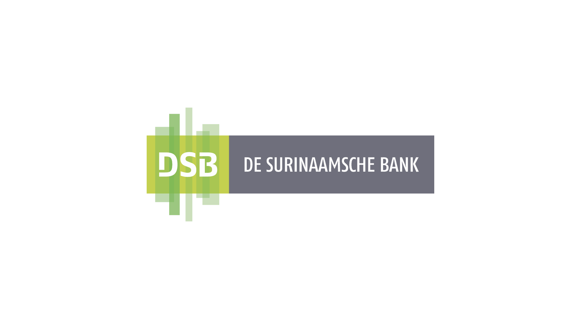 DSB Video