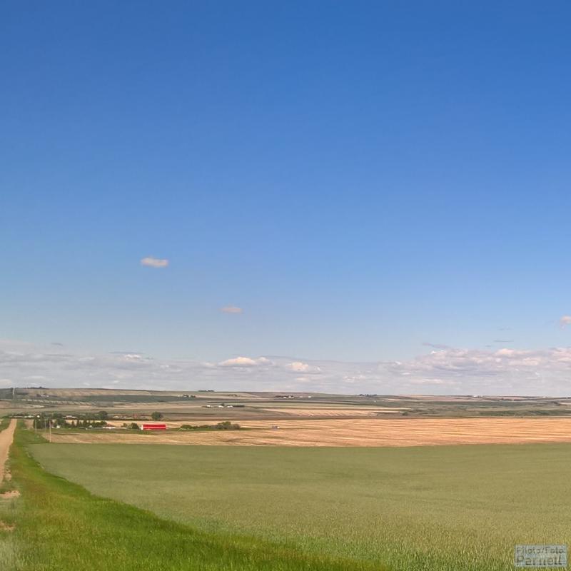 Frühsommerlicher Blick auf Bauernhöfe und Getreidefelder, die sich über leicht hügeliges Gelände bis zum Horizont in West Kanada erstrecken.