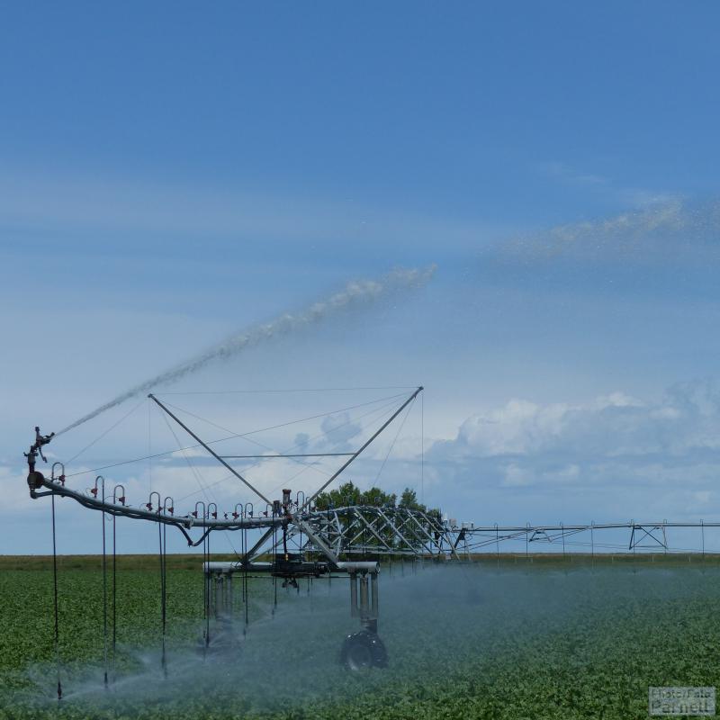 Bewässerungswasser spritzt aus den Düsen eines Centre-Pivot-Bewässerungssystems in West Kanada.