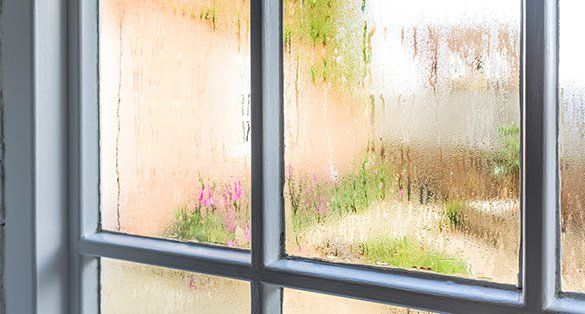 Window Glass — Wilmington, DE — JM General Contractors LLC