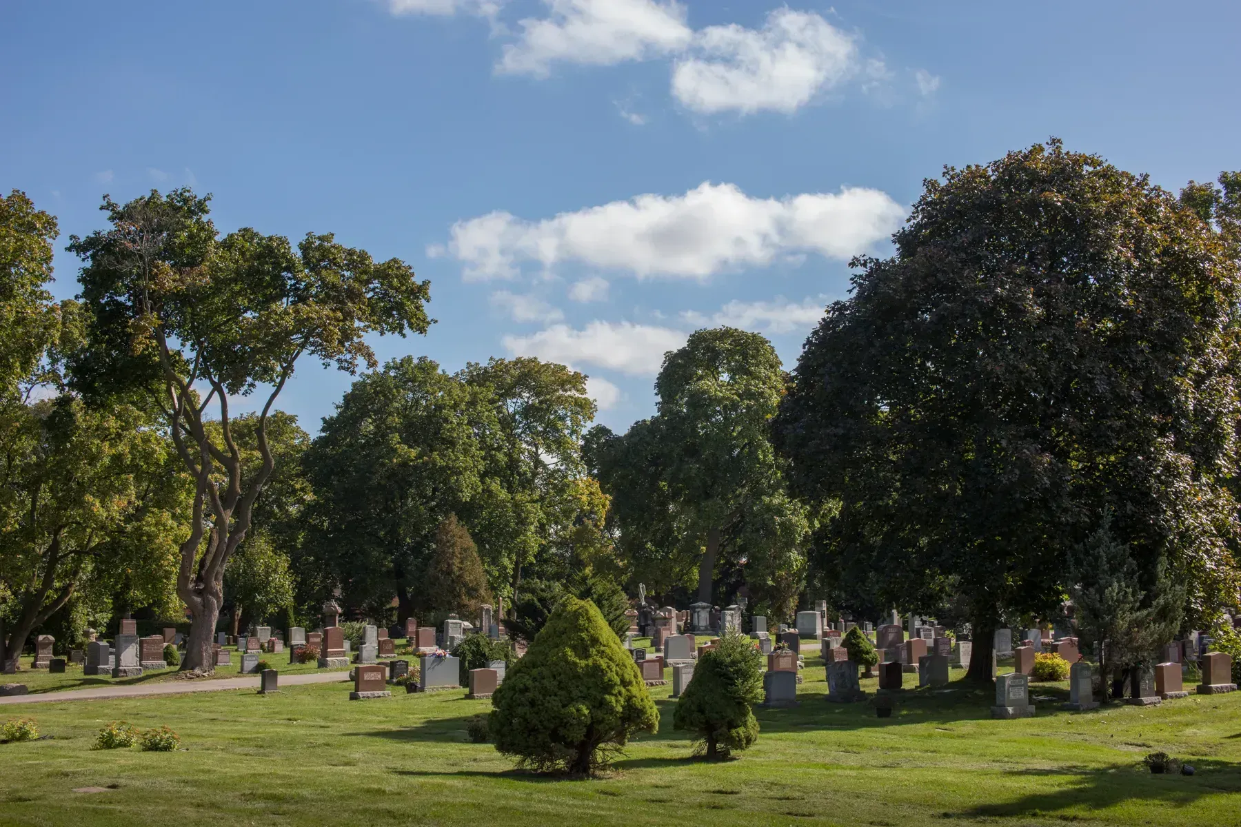 Grassy cemetery with many headstones and tall trees under a blue sky with clouds