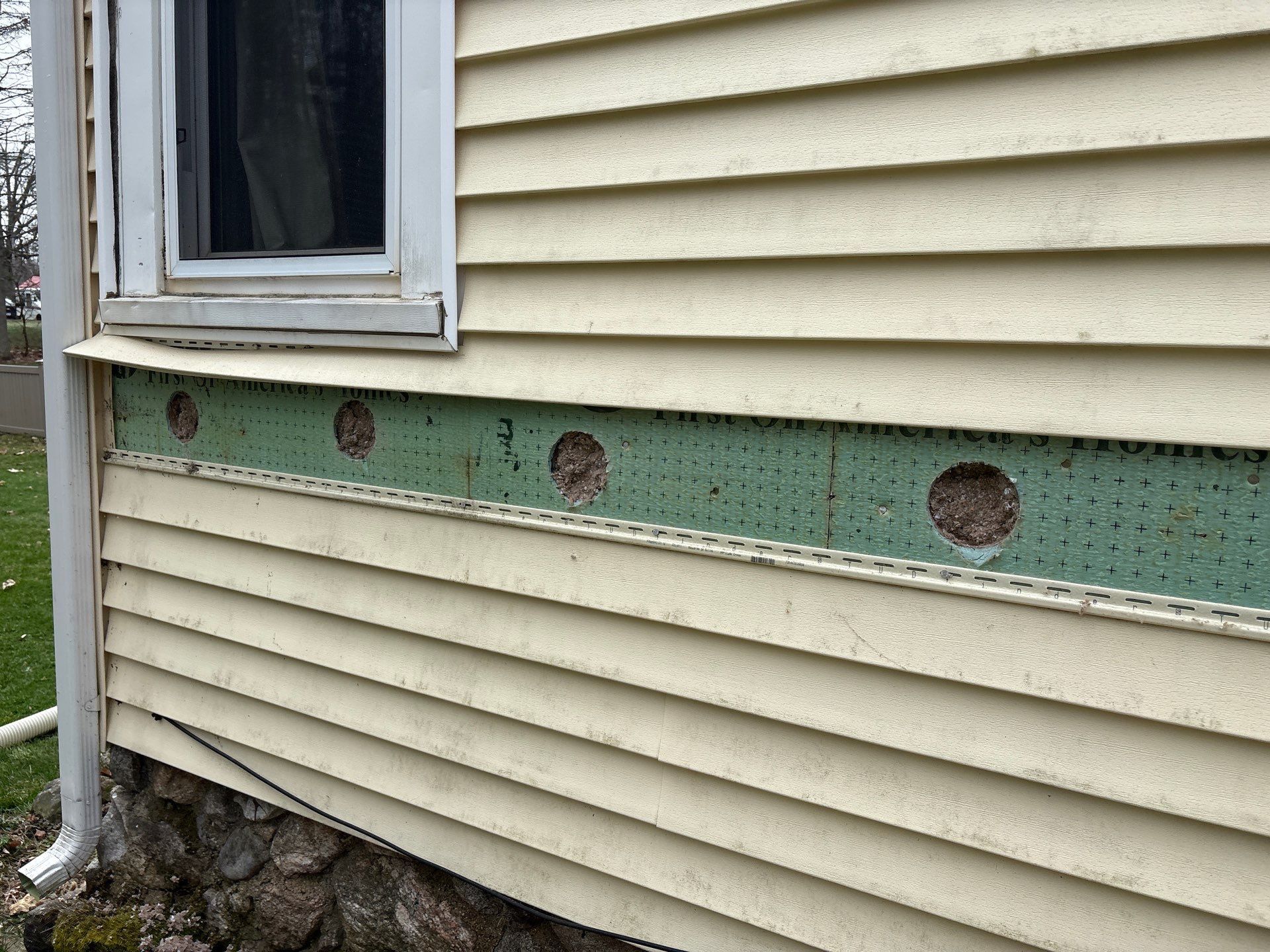 House exterior with beige siding, a window, and a damaged green trim board with rusted holes