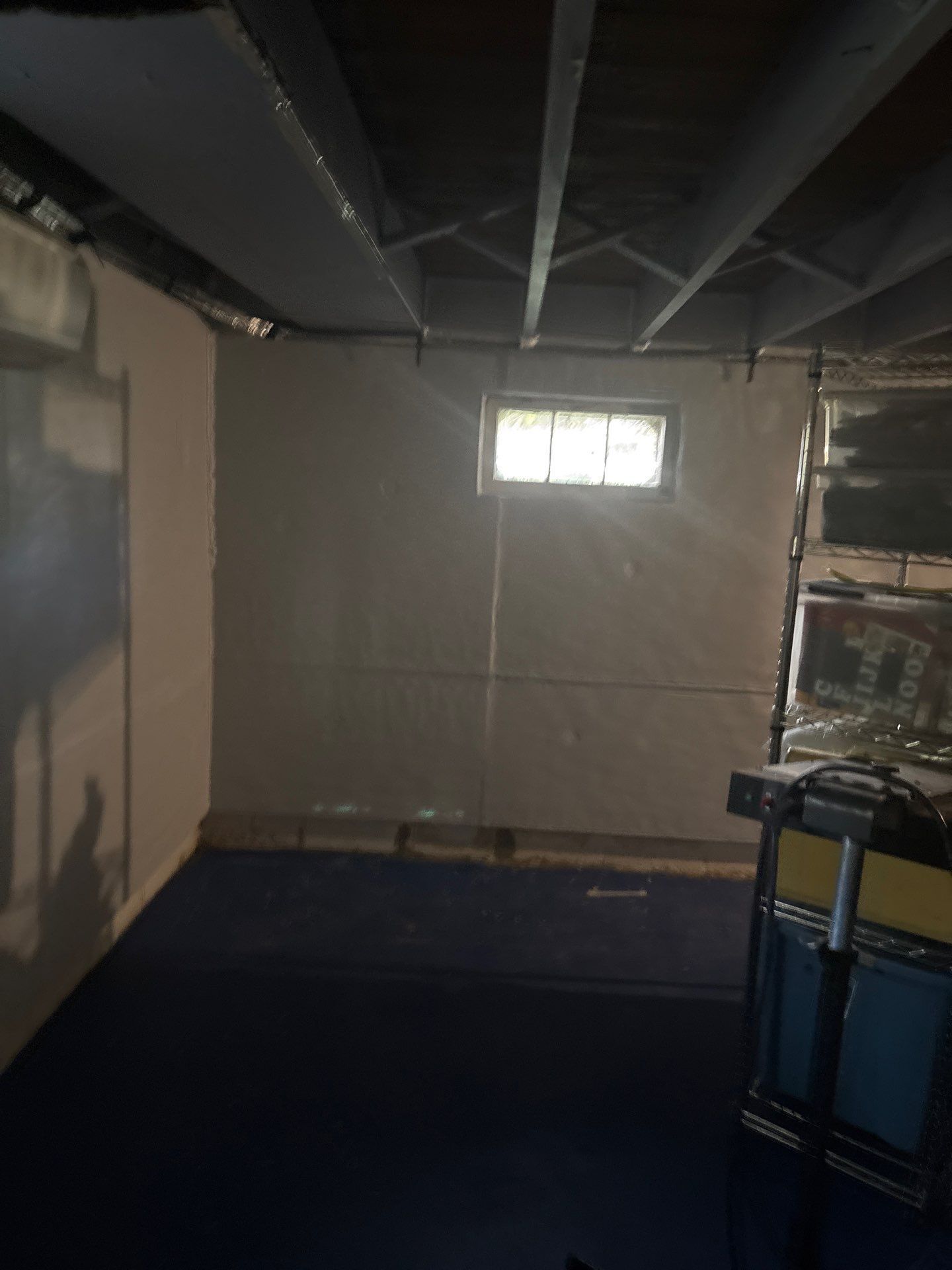 Dim unfinished basement with exposed ceiling beams, small window, and a blue carpeted floor.
