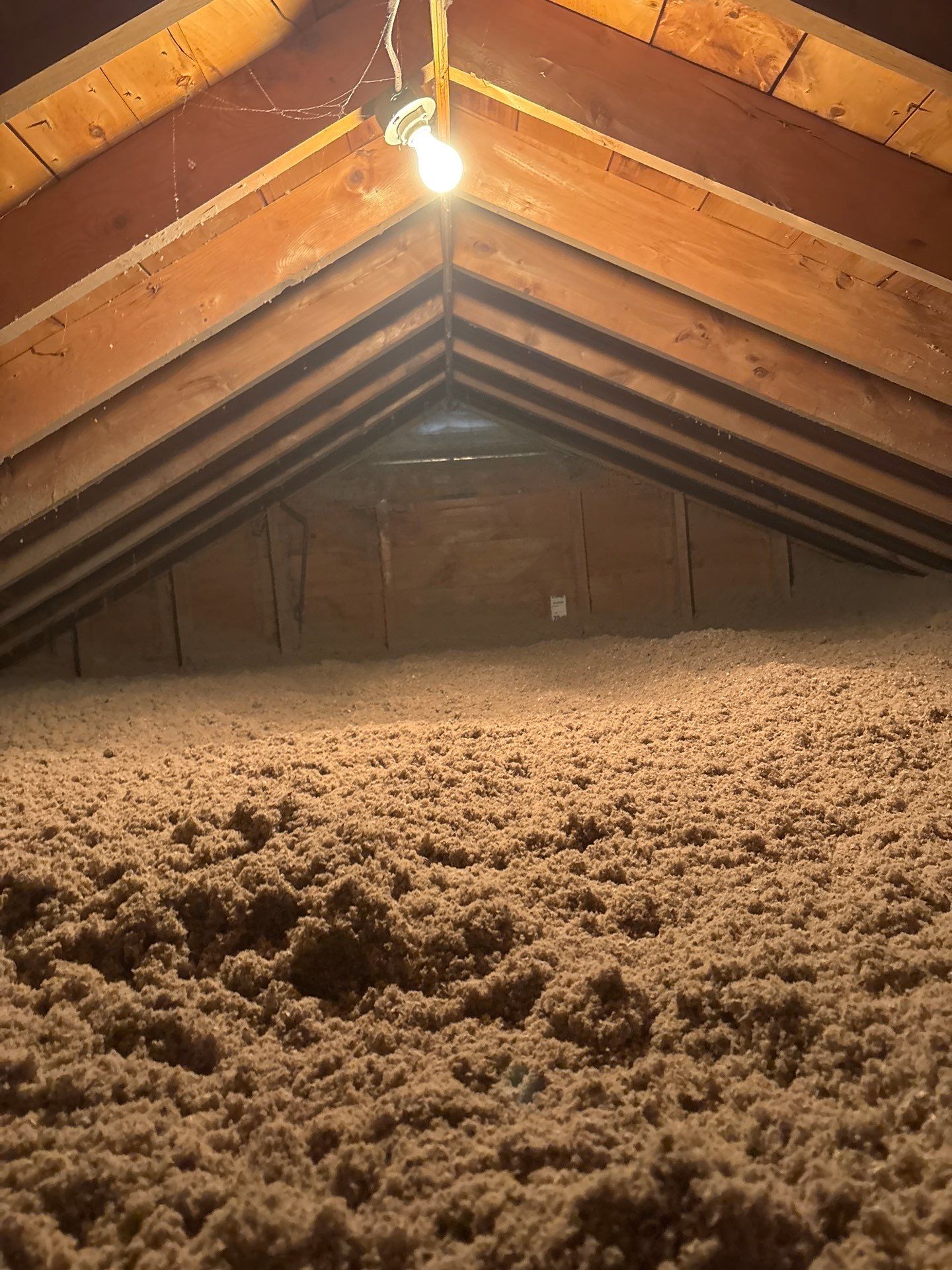 Insulated attic with exposed wooden rafters, hanging bulb, and a thick layer of loose insulation on the floor