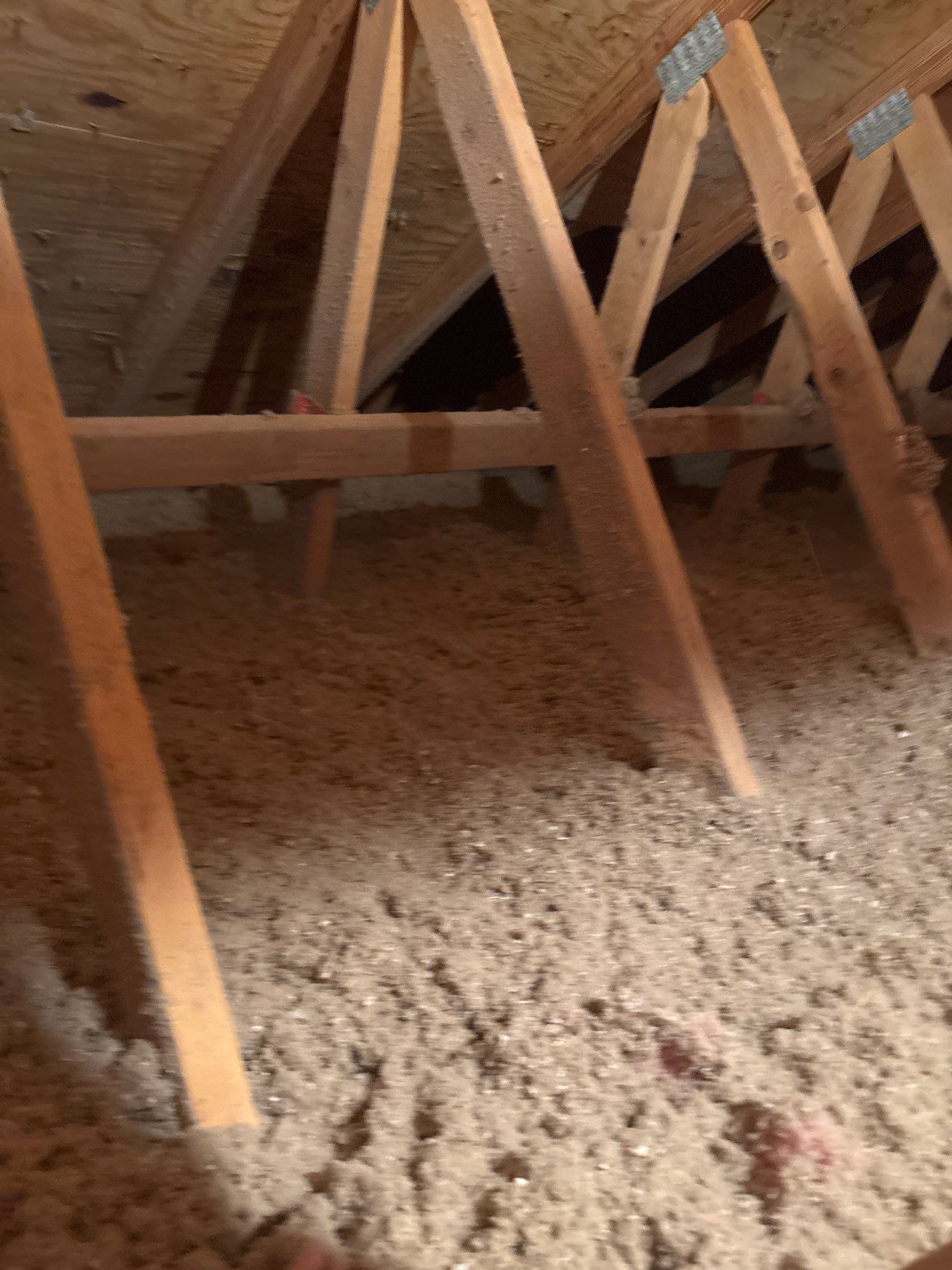 Insulated attic with wooden roof trusses and exposed beams under plywood roof decking
