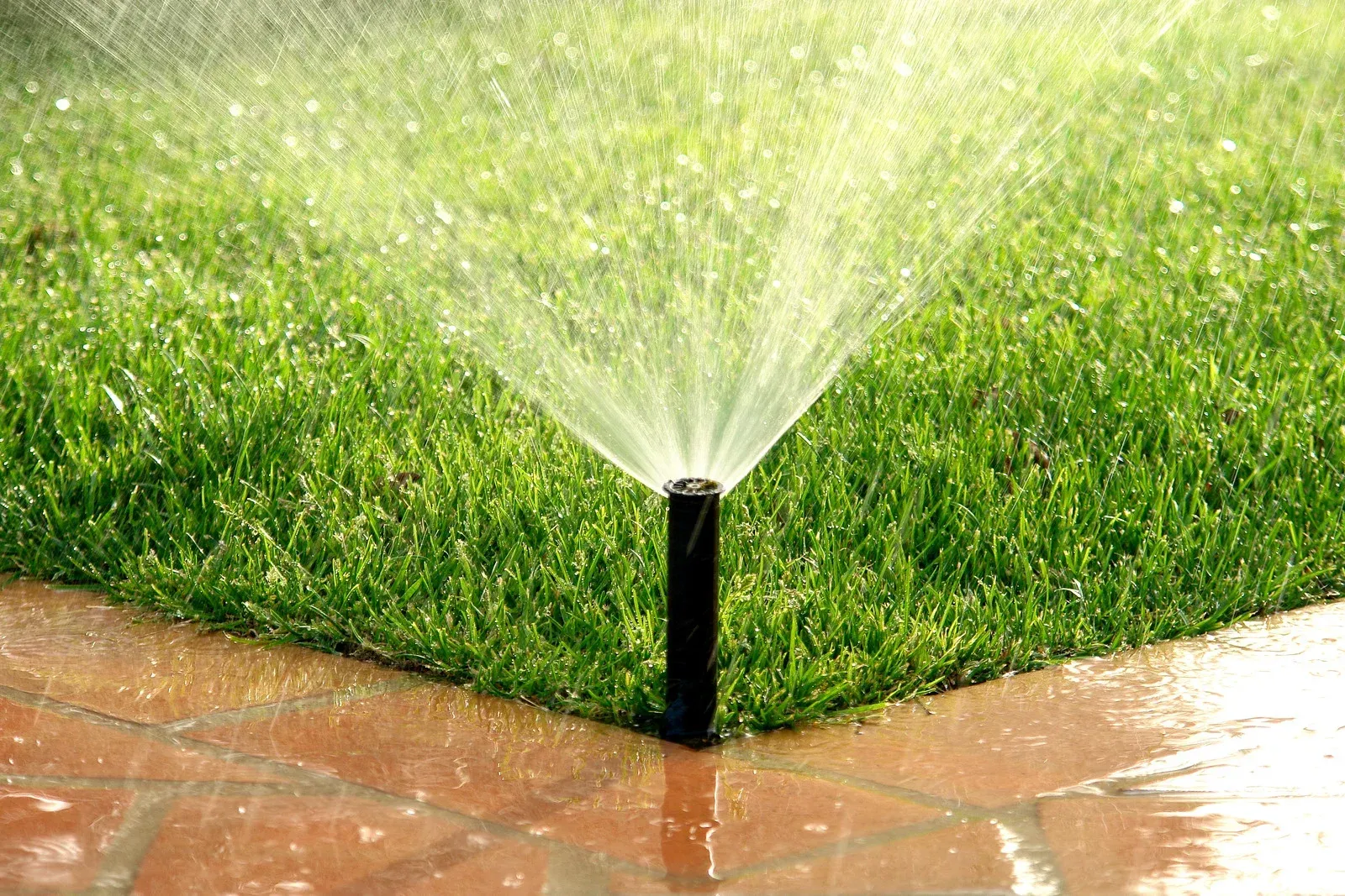 Sprinkler watering a lush green lawn, with water droplets spraying onto the grass and a brick border.