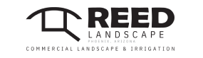 Reed Landscape