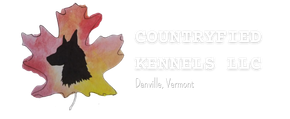 Logo of a multicolored maple leaf beside “COUNTRYFIED KENNELS LLC” text