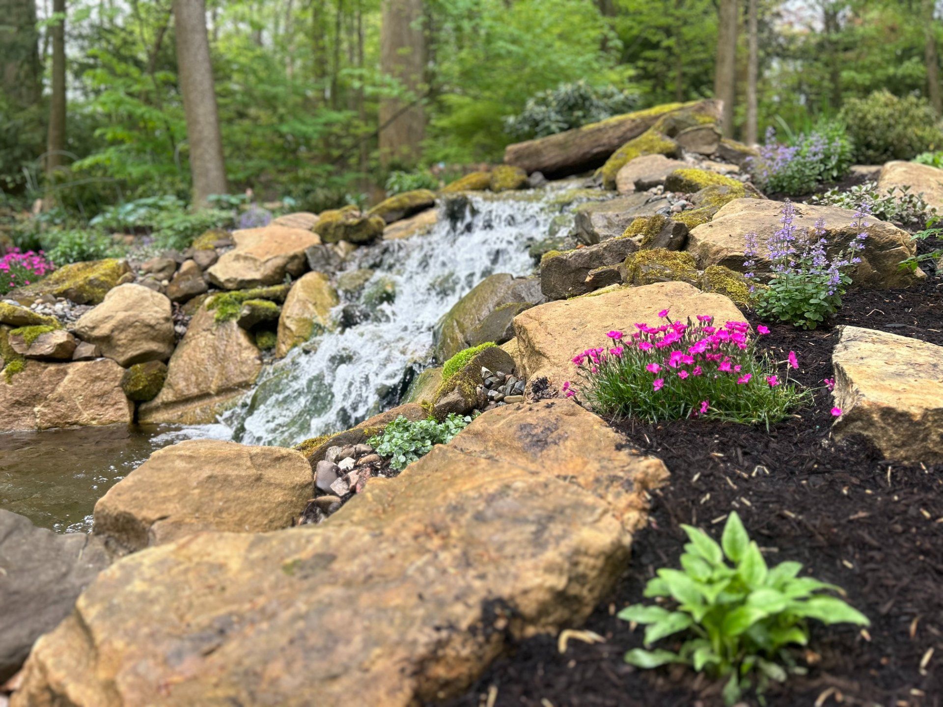 Waterfall cascading over rocks with pink and purple flowers in a garden.