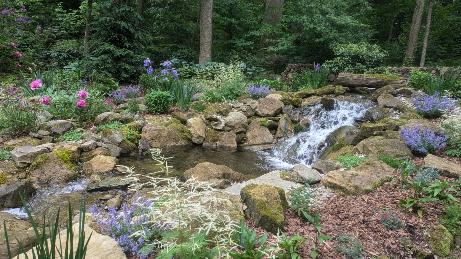 Small waterfall in a garden with rocks, various flowers, and greenery.