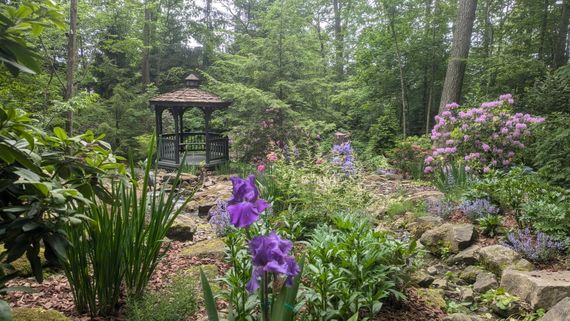 A tranquil garden with a gazebo, purple irises, and various plants, surrounded by trees.