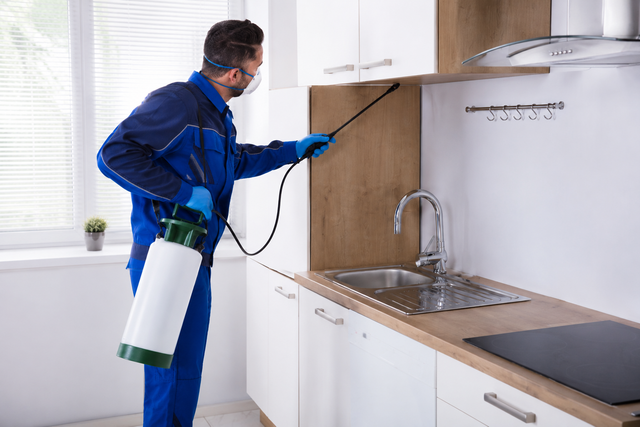 Person in blue protective suit spraying disinfectant in a kitchen sink area