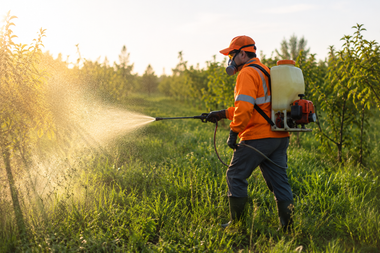Worker in orange gear spraying pesticide in a green field at sunset