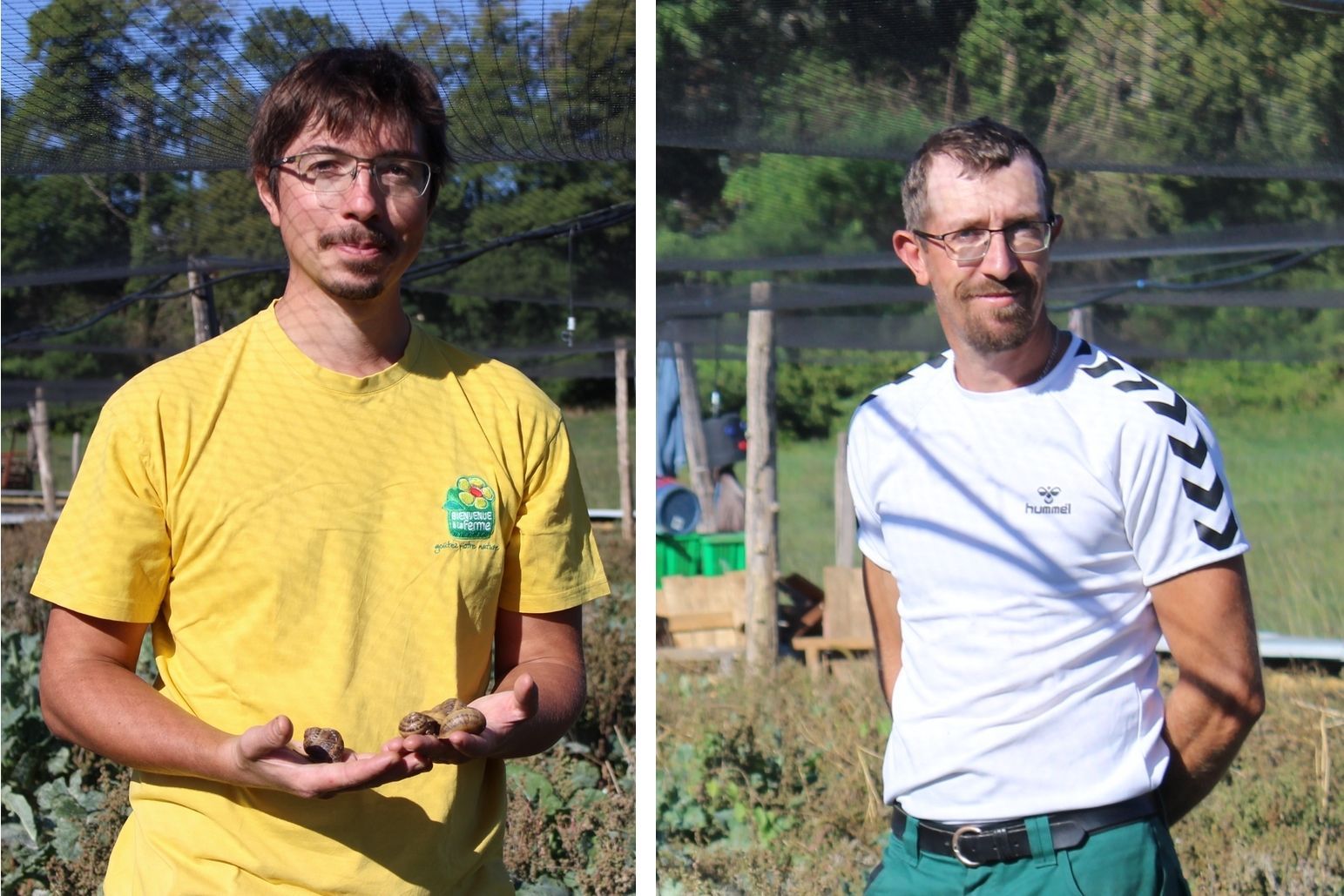 producteur champii saveurs de nos fermes albertville