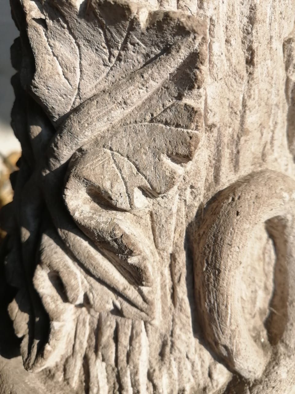 Primer plano de una talla en piedra que muestra hojas texturizadas y el detalle de una rama curva sobre una superficie rugosa similar a la de un árbol.