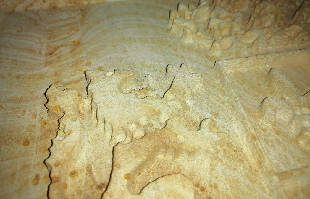 Primer plano y vista en ángulo de una talla en relieve de madera de color marrón claro y textura rugosa, con intrincados patrones de bordes festoneados.