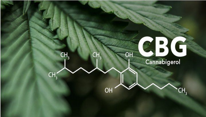 Perchè scoprire il CBG?
