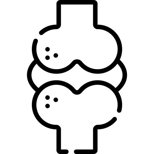 icona ossa