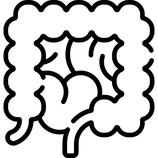 icona intestino