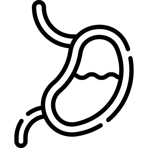 icona stomaco