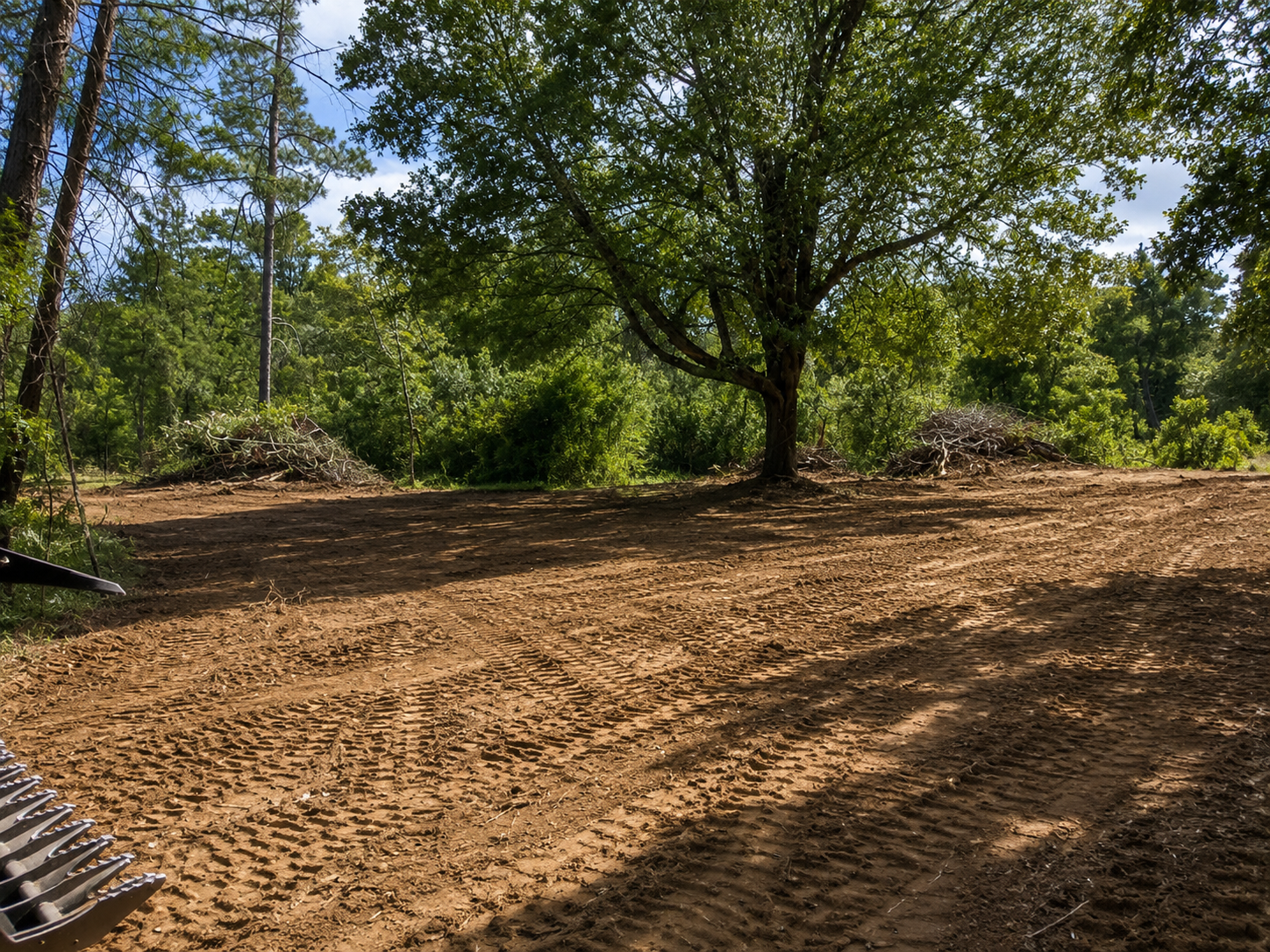 Sunlit dirt clearing with tire tracks, surrounded by trees and brush.