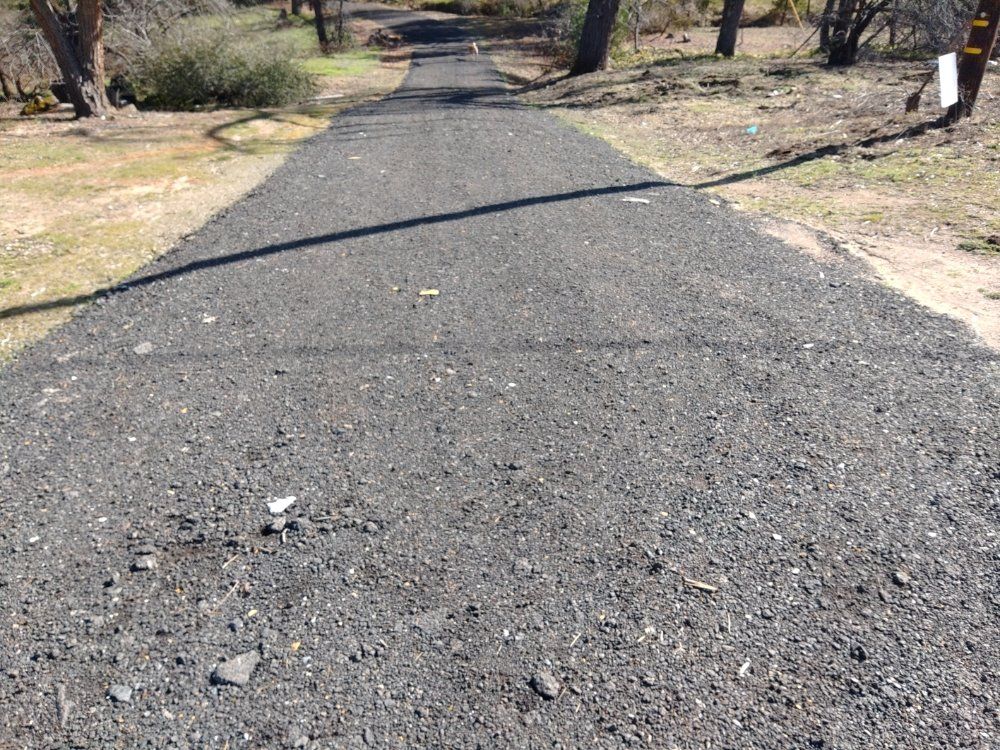 Gravel path through a wooded park on a sunny day