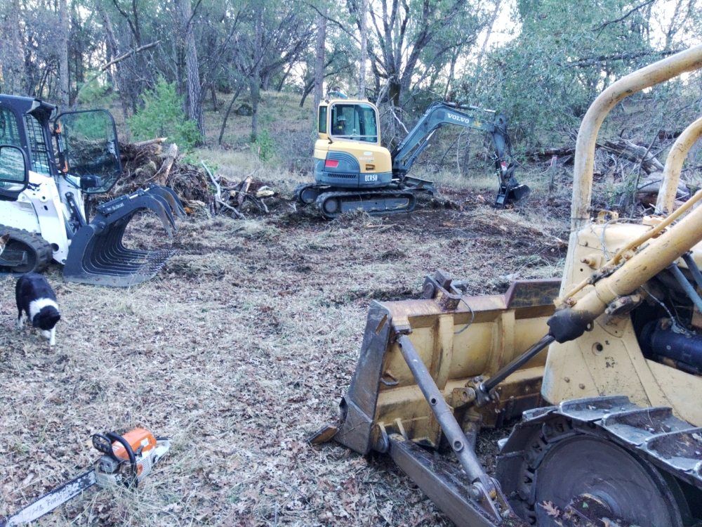 Excavators clearing muddy debris in a wooded area, with workers and equipment around the site.
