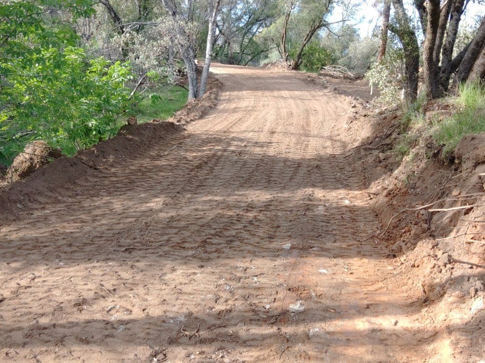 Dirt road winding uphill through a wooded area with trees and green brush on both sides
